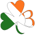 brennan_shamrock Brennan Construction Inc. Icon